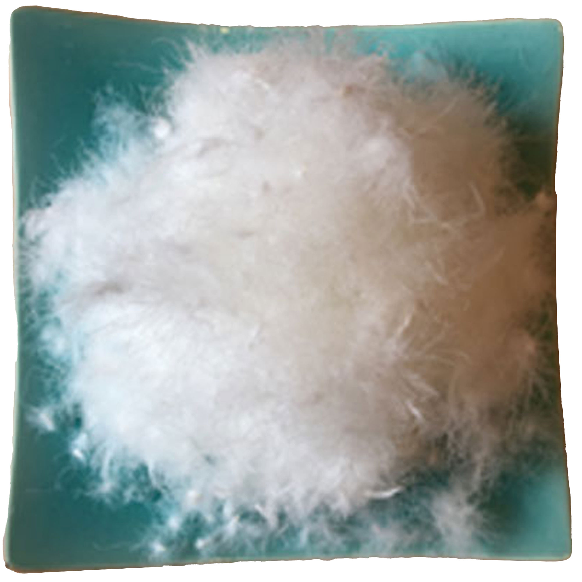 Replacement Goose Down Kit - Image 4